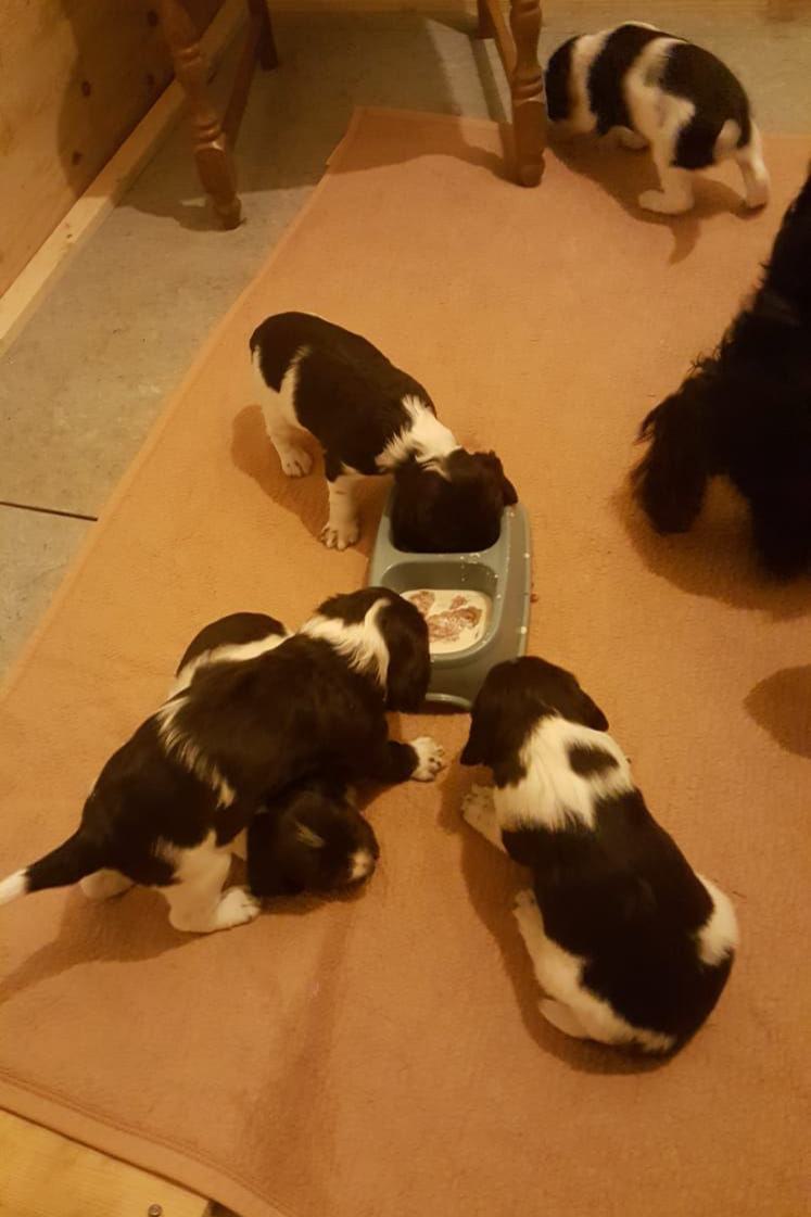 K-Wurf_weitere Bilder_05