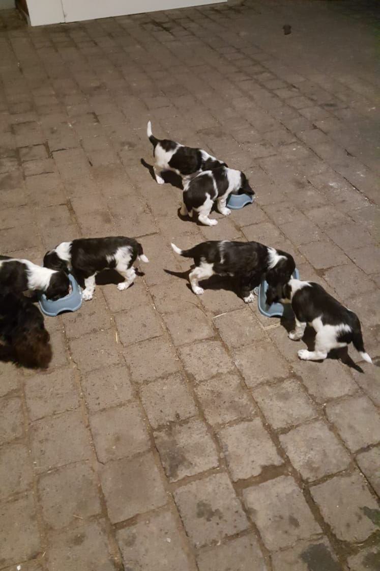 K-Wurf_weitere Bilder_06