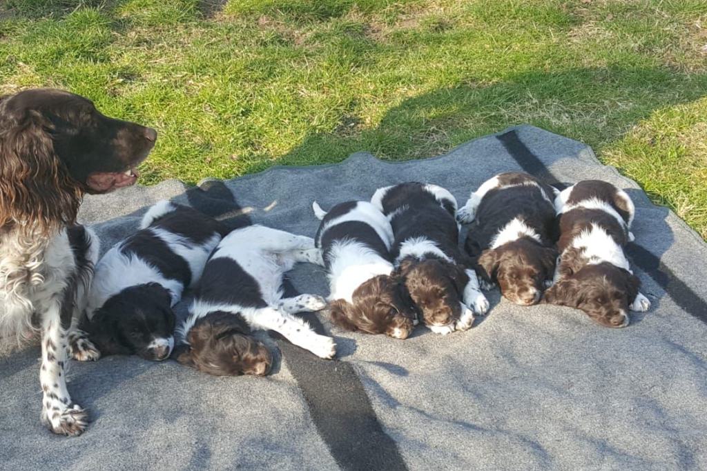 K-Wurf_weitere Bilder_07